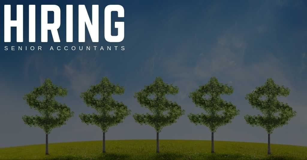 Senior Accountants
