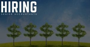 Senior Accountants